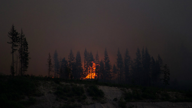 Fire crews are fighting a wildfire East of Gold Bar, Washington