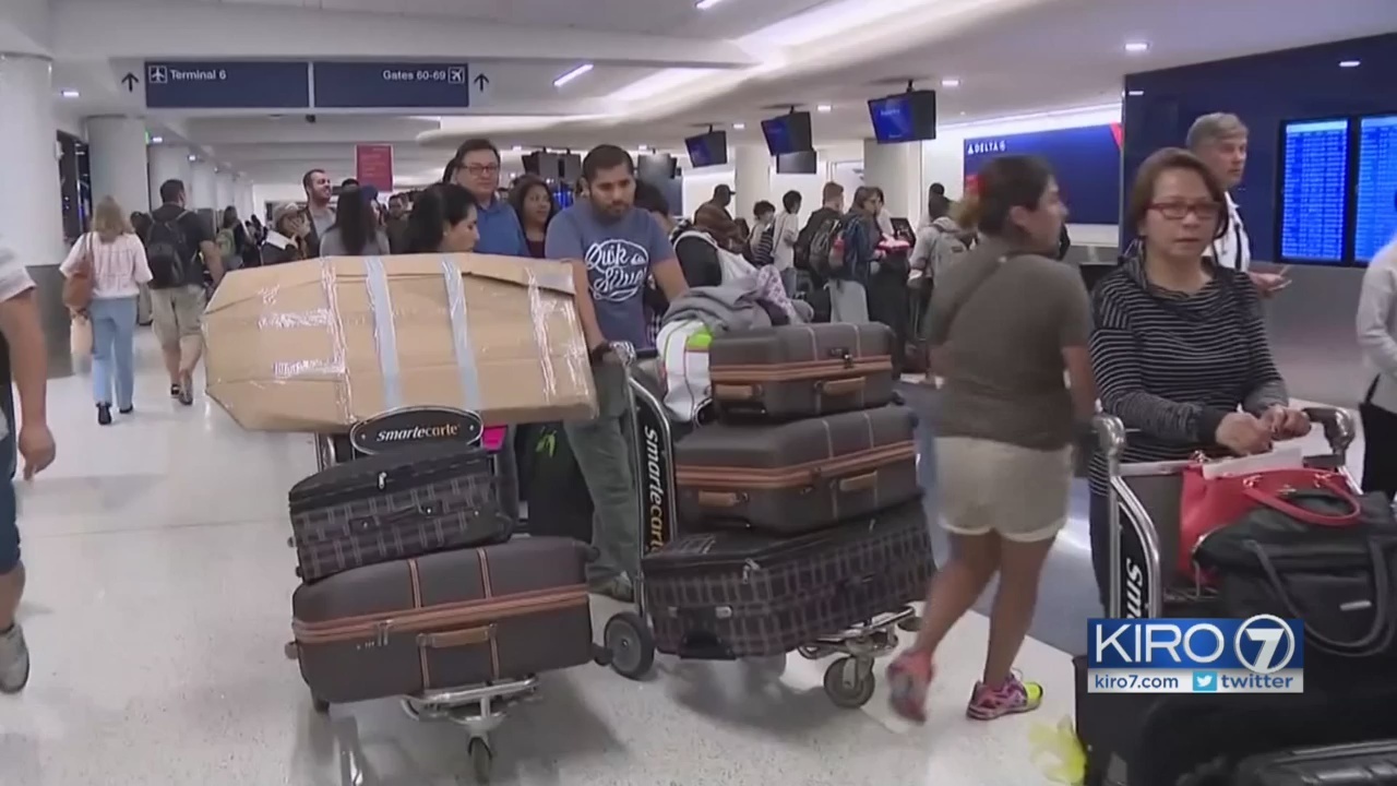 dejta cougars football