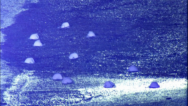 집벽 뚫고 들어온 총에 머리 맞은 74세 노인