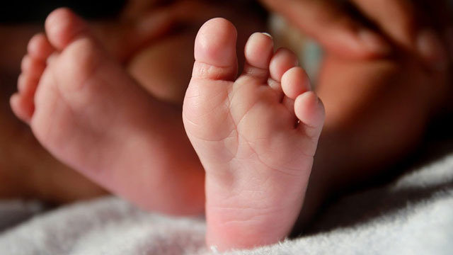 워싱턴 주의 새로운 안전 안식법으로 수십명의 신생아들이 버려져