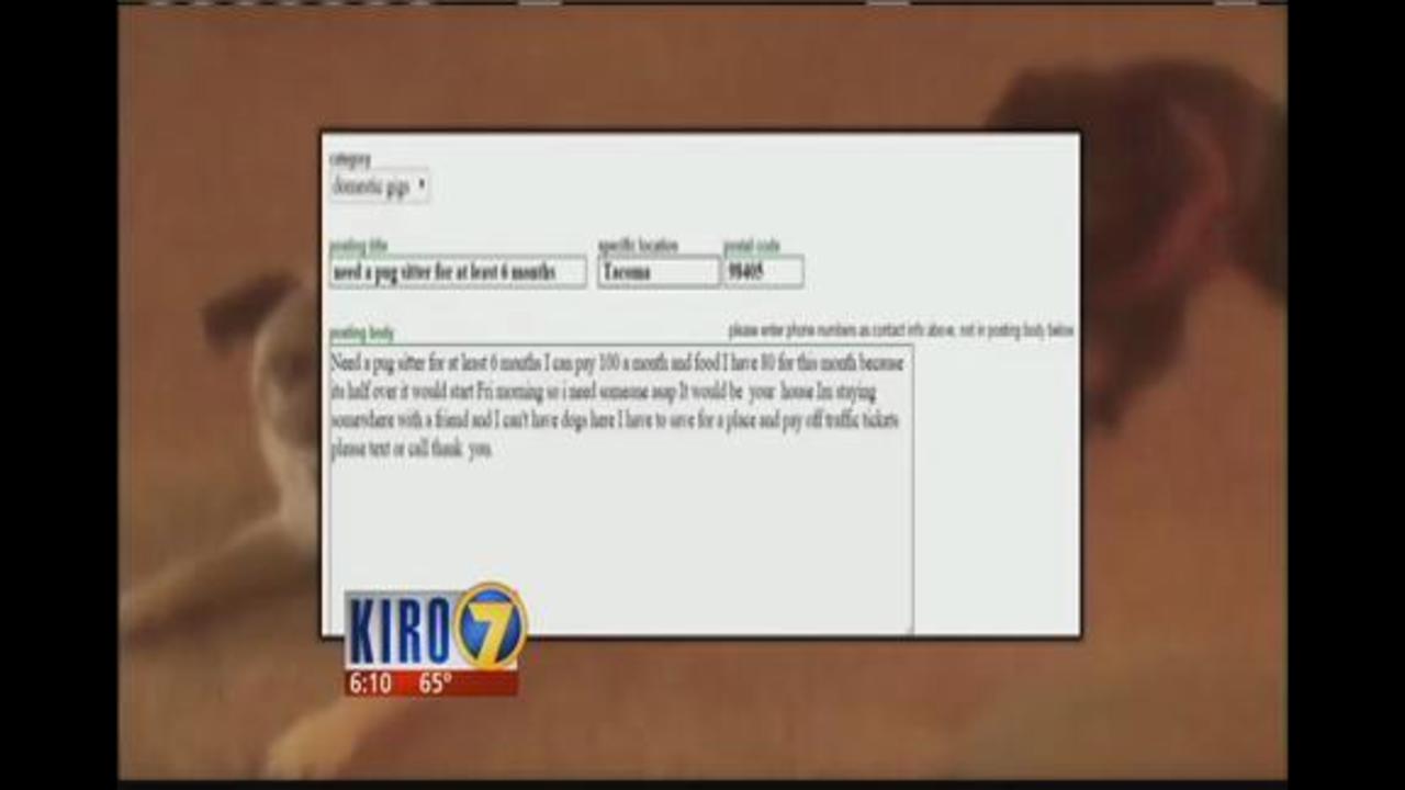 Seattle News Videos Kiro Tv