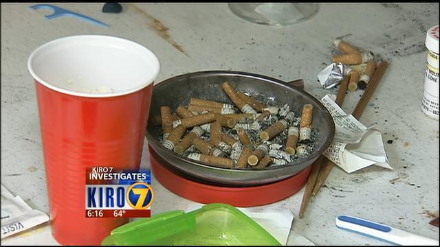 pine sol bed bugs kill bed seattle news videos kirotv pine sol bed bugs kill bed seattle news videos kirotv
