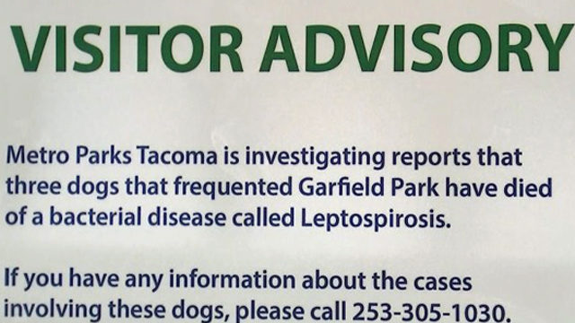 노스 타코마(North Tacoma) 공원에서 박테리아성 균 노출 위험, 당분간 출입 주의