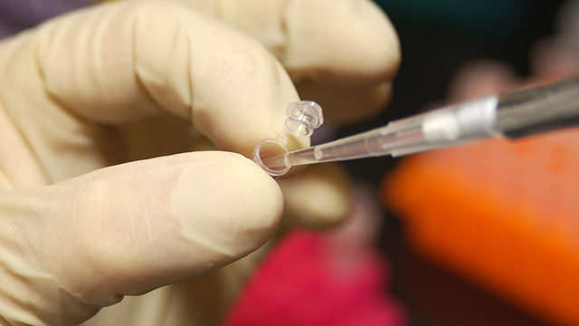 내 사진과 합성된 디지털 DNA?