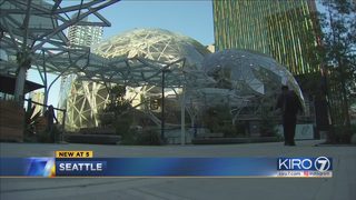 Economic study and business letter attack Seattle head tax