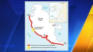 State officials ask anglers, boaters to avoid west side of San Juan Island to protect orcas