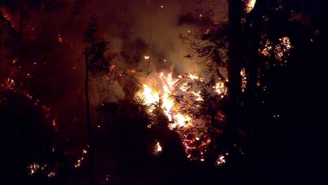 자살을 목적으로 시택 공항에서 여객기 훔쳐